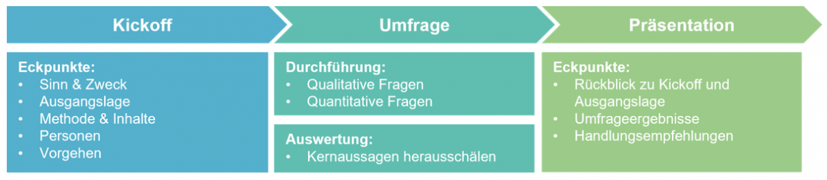 Ablauf des Agile Assessments